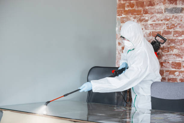 Best Mold Removal for HVAC Installations  in Sands Point, NY