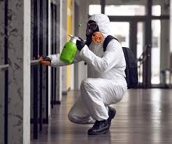 Best Comprehensive Air Testing for Mold Contaminants  in Sands Point, NY