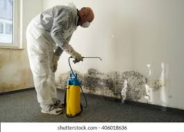 Mold Odor Removal Services in Sands Point, NY